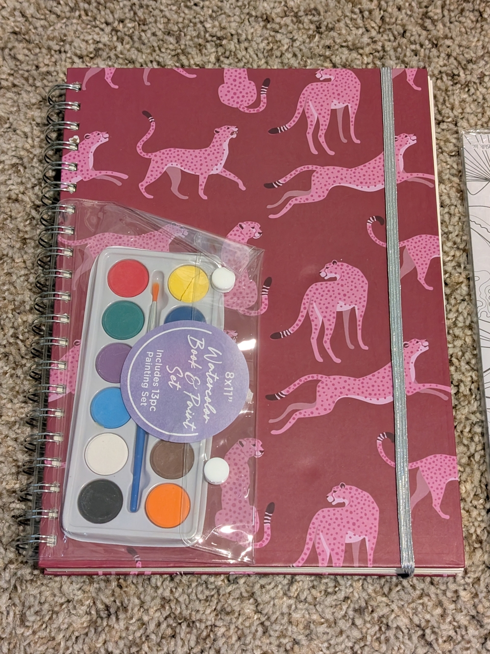 Spiral Sketchbook with Pink Cheetah Cover and Watercolor Paint Set